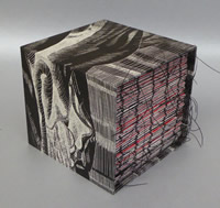 Artists Books